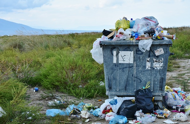 [Header image for the post: Bayanihan: Basurahan - A project to address garbage management in cities]